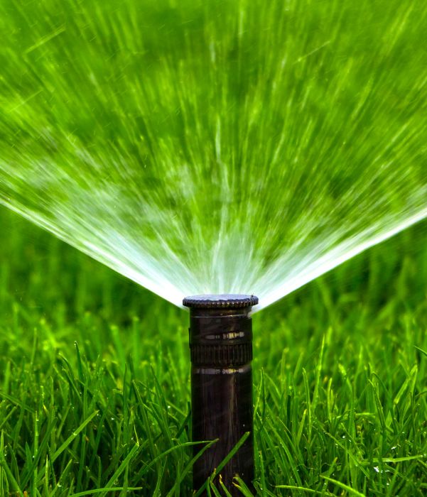 Water from a sprinkler cascades over a vibrant green lawn, enhancing the garden's beauty and vitality.