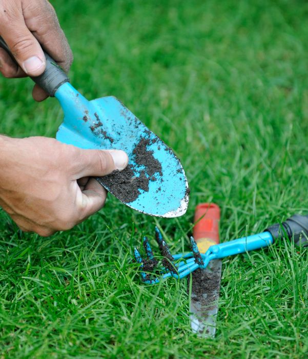 A person uses a blue and black garden tool to dig into the dirt, actively engaged in gardening.