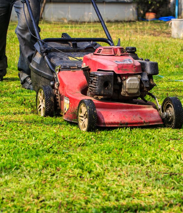 A man using a red lawn mower to cut grass in a well-maintained garden.
