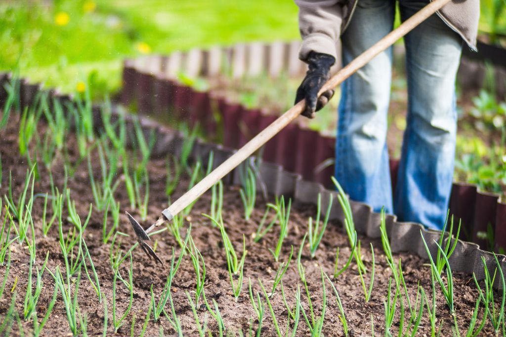 Focused on their gardening task